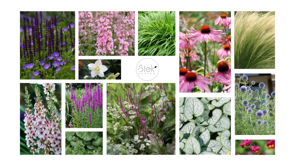 plantenoverzicht beplantingsplan