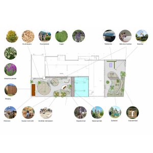 Schoolplein ontwerp Breda – van tegels naar een groen en avontuurlijk buitenplein