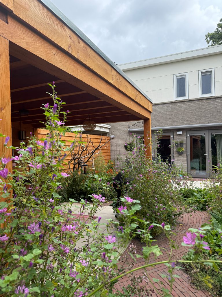 tuinontwerp-breda-overkapping-warm-hout-malva-borders-inheems