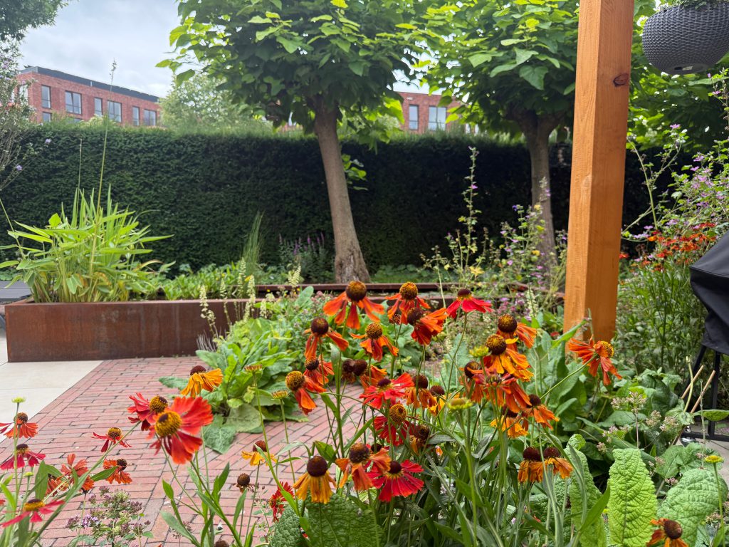 tuinontwerp-breda-cortenstaal-vijver-helenium-bolbomen-overkapping