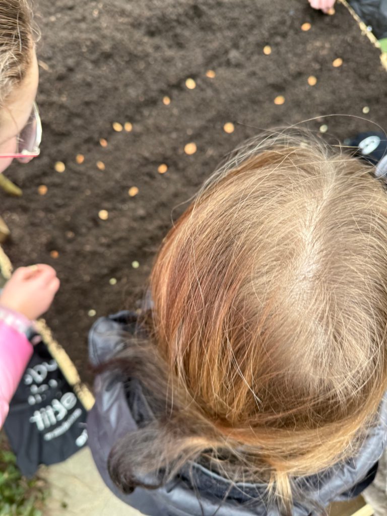 verwondering van kinderen in de moestuin