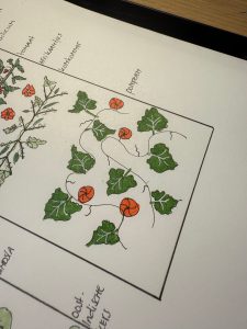 Moestuin voorbereiden in het najaar, zo doe je dat (ook met kinderen)