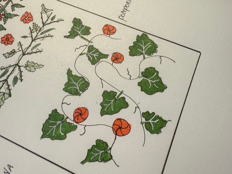 Moestuin voorbereiden in het najaar, zo doe je dat (ook met kinderen)